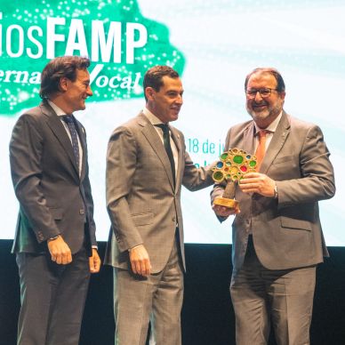 Premios FAMP 2024 (377)