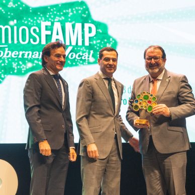 Premios FAMP 2024 (378)