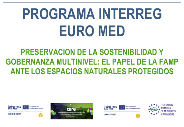 Captura de pantalla 2024-11-28 193338