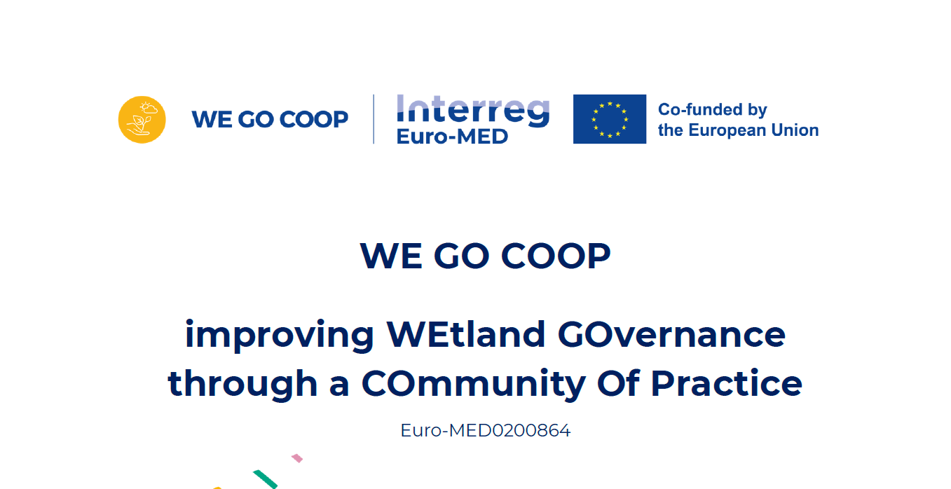 Captura de pantalla 2025-01-23 083812