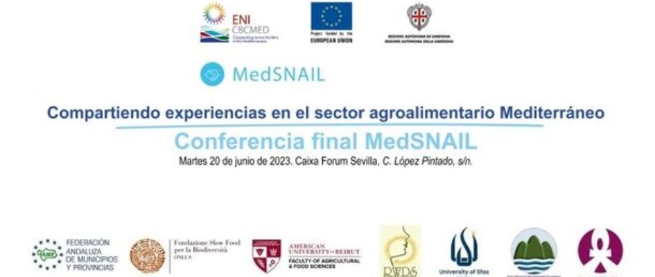 medsnail2