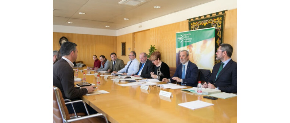 Línea de trabajo para combatir el despoblamiento rural