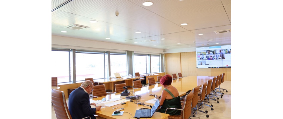 REUNION SUBCOMISION DDPP 11072022