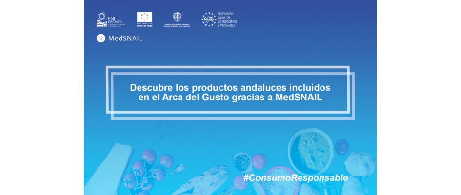 fact_sheets_medsanil_esp