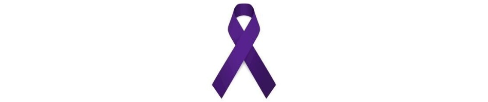 lazo_morado